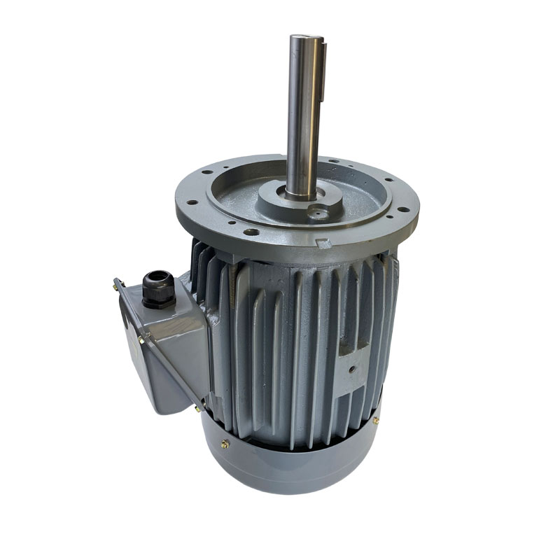 大電機立式非標(biāo)長軸2.jpg